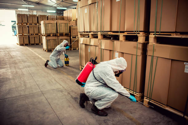Best Best Pest Control Companies  in Willits, CA