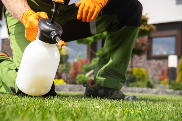 Best Pest Control Near Me  in Willits, CA