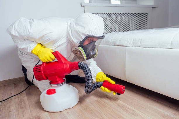 Best Affordable Exterminators  in Willits, CA