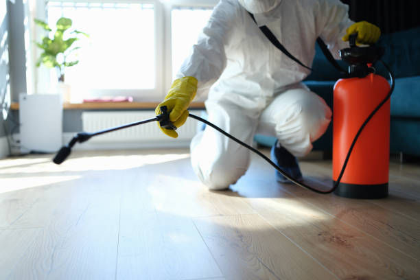 Best Affordable Pest Control Services  in Willits, CA